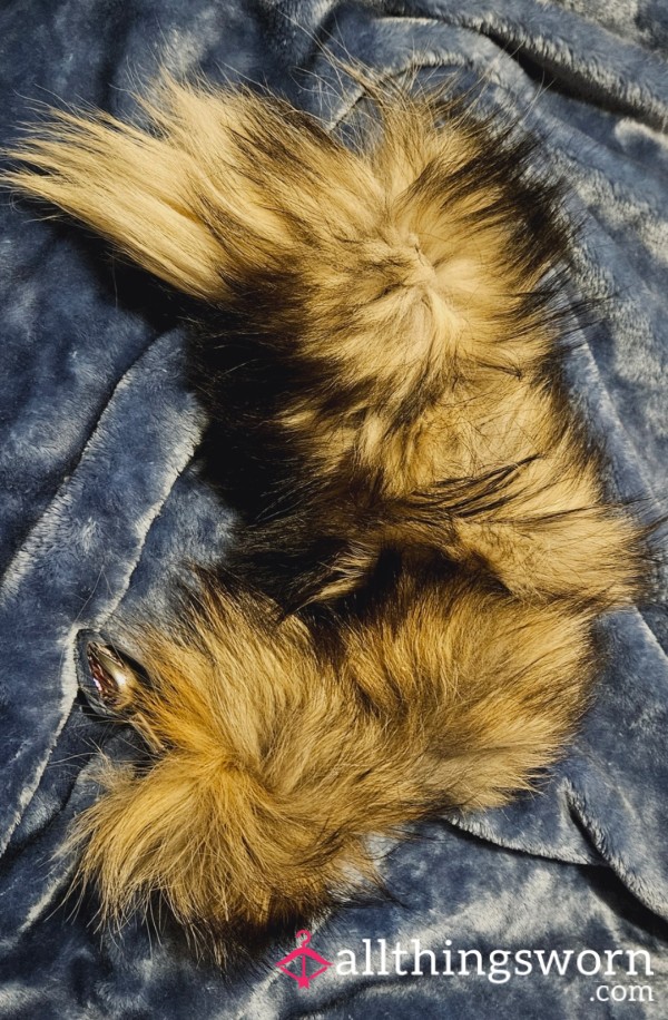 Dog/wolf Tail