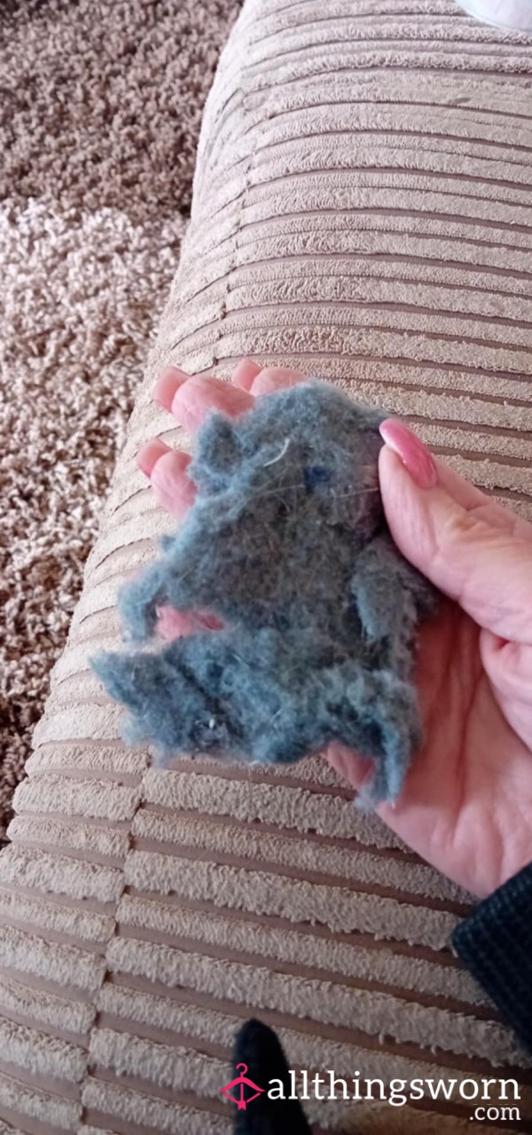 Dryer Lint