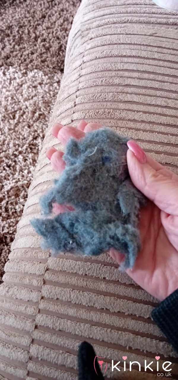Dryer Lint