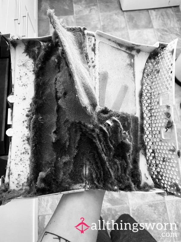 Dryer Lint 🗑️🫦