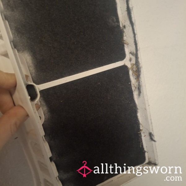 Dryer Lint For You Sl*t. 😈