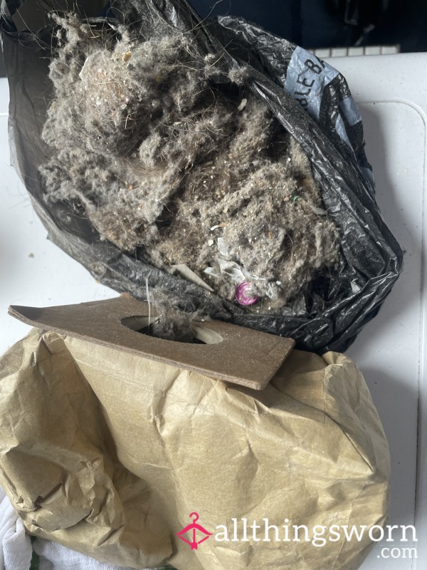 Dust Bag