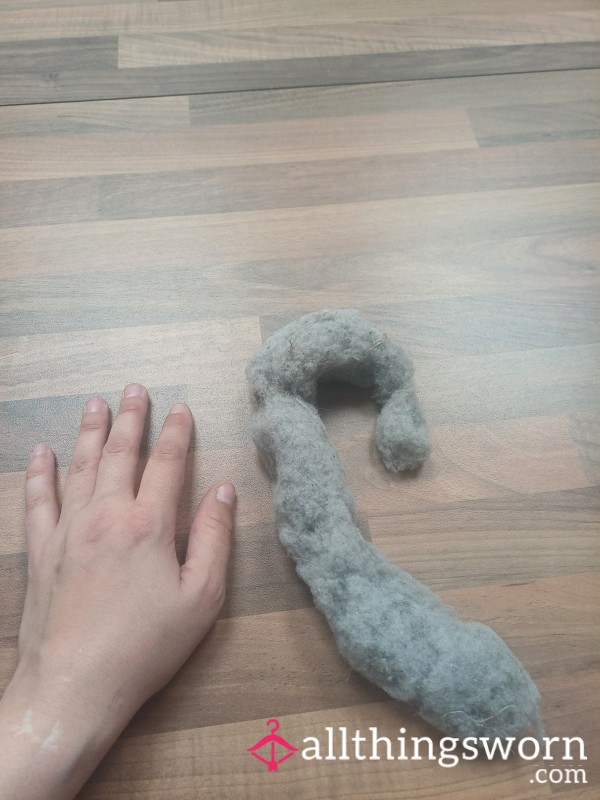 Dust Bunny