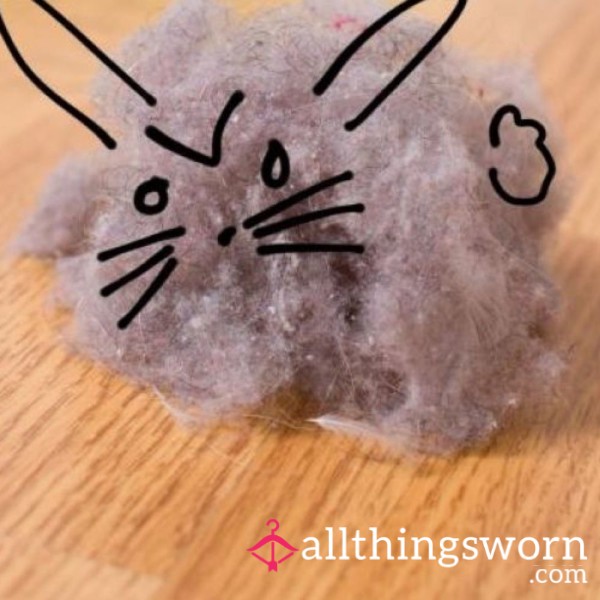Dust Bunny Vacuum Dirt