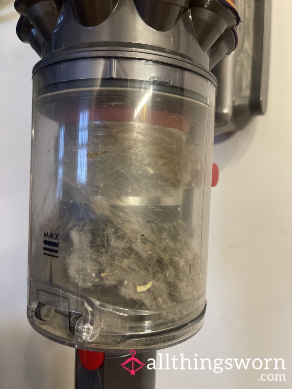 DUST MITES WANTED! Hoover Dust 🪳🪳