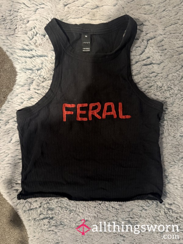DIY Painted Crop