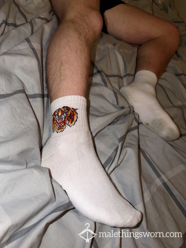 Ed Hardy Lion Socks – 3 Day Wear