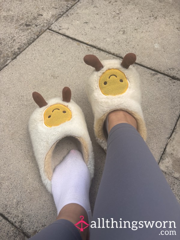 Eggy Slippers. Old & Very Worn