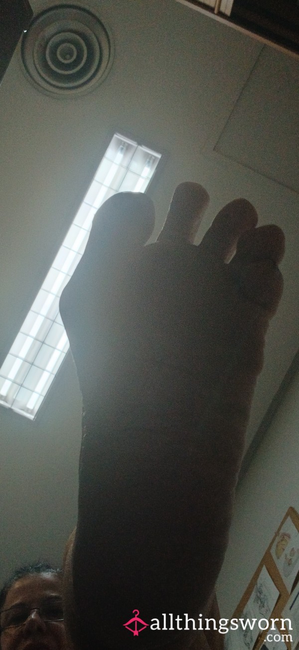 Elephant FeetPics.