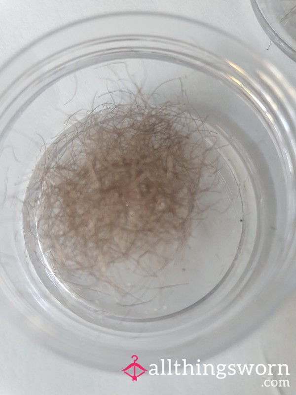 Epilated Leg And Groin Hair