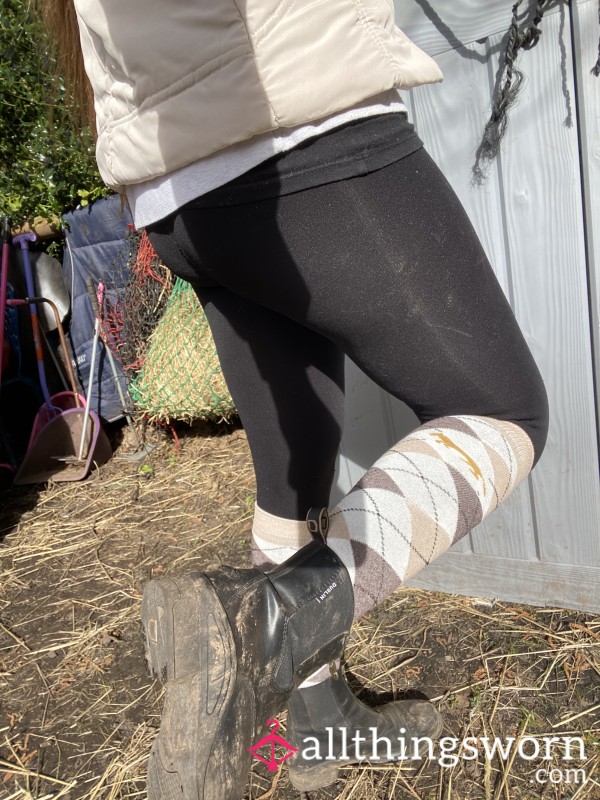 Equestrian Socks
