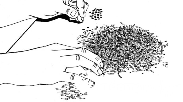Test Your Rice Counting Skills