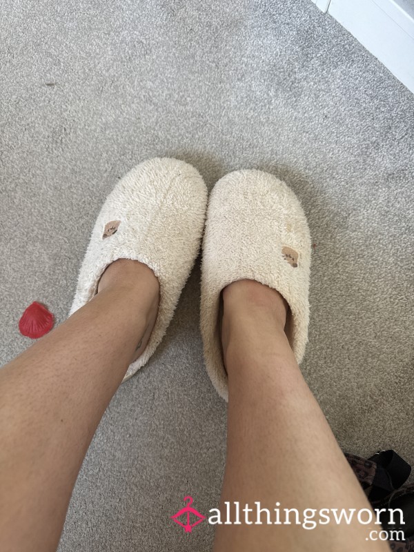 Evening Slippers