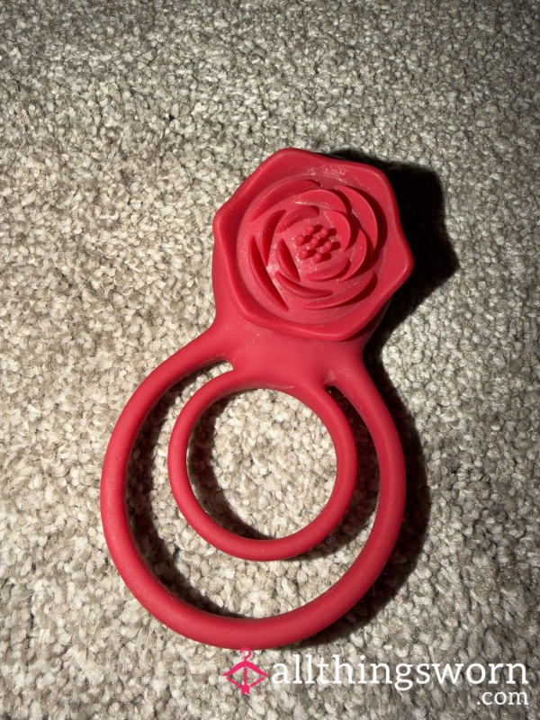 Every Rose Has Its Thorn