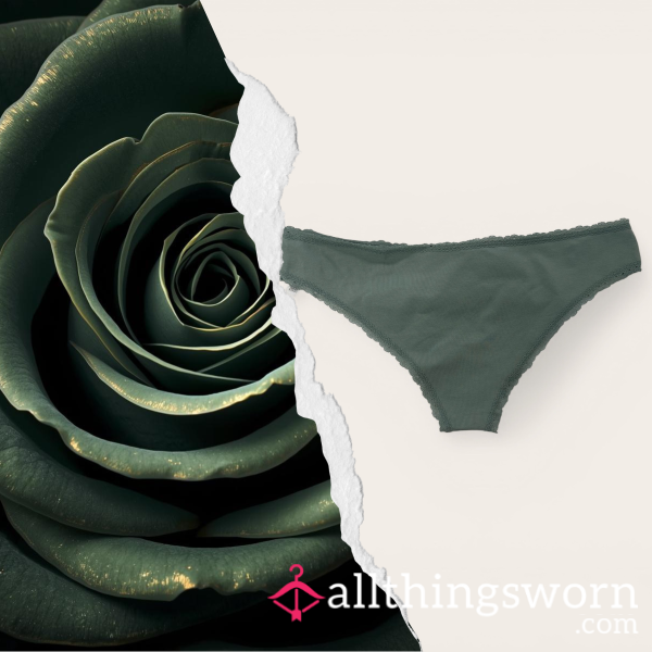 Everyday Ruin ⋆ Well Worn Cotton Panties ⋆ 24 Hour Worn ⋆ Warm Natural Scent
