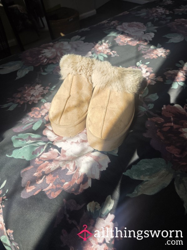 Everyday Slippers