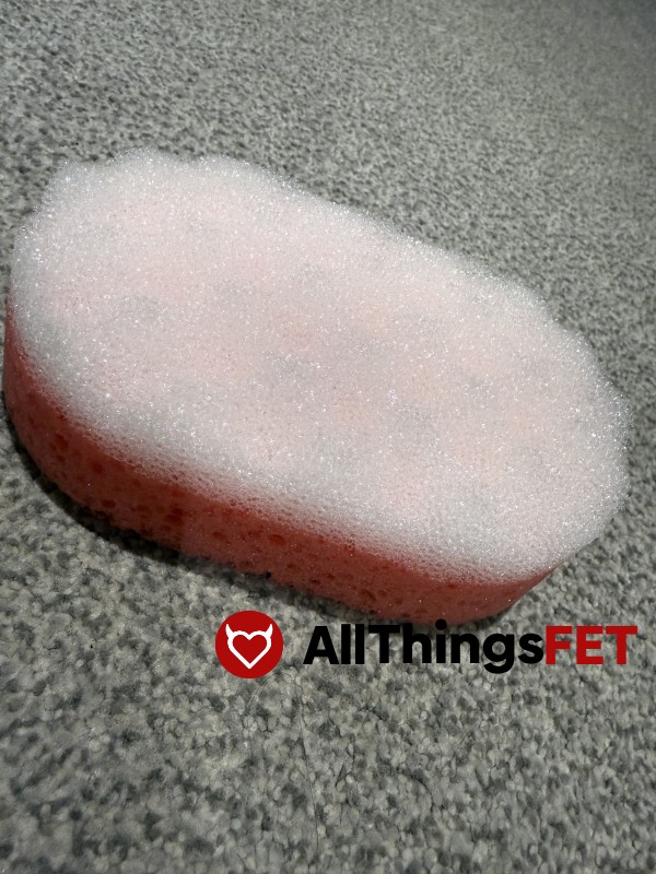 Exfoliating Sponge