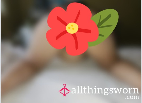 Explicit Pu**y And A**hole Photos