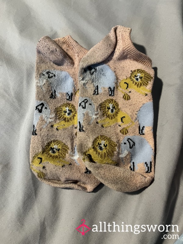 Extremely Well Worn Socks