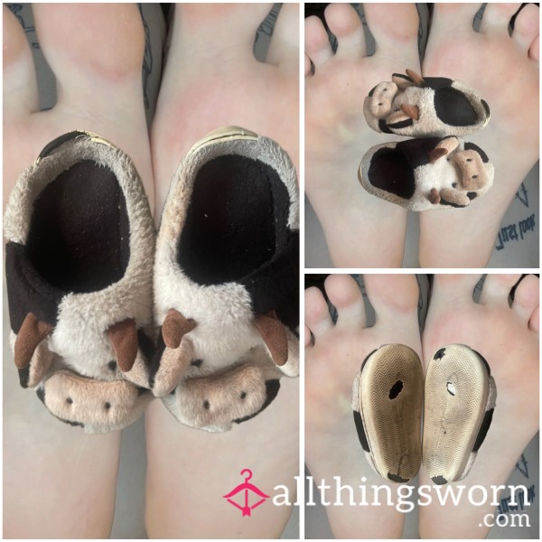 ꕤ EXTREMELY WORN COW SLIPPERS WITH HOLES IN THE SOLES ꕤ