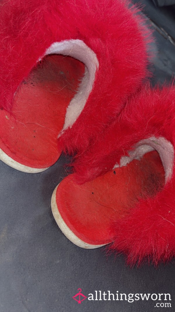 Extremely Worn Slippers