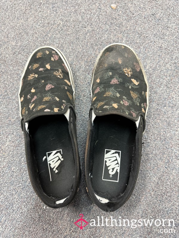 Extremely Worn Stinky Vans Shoes