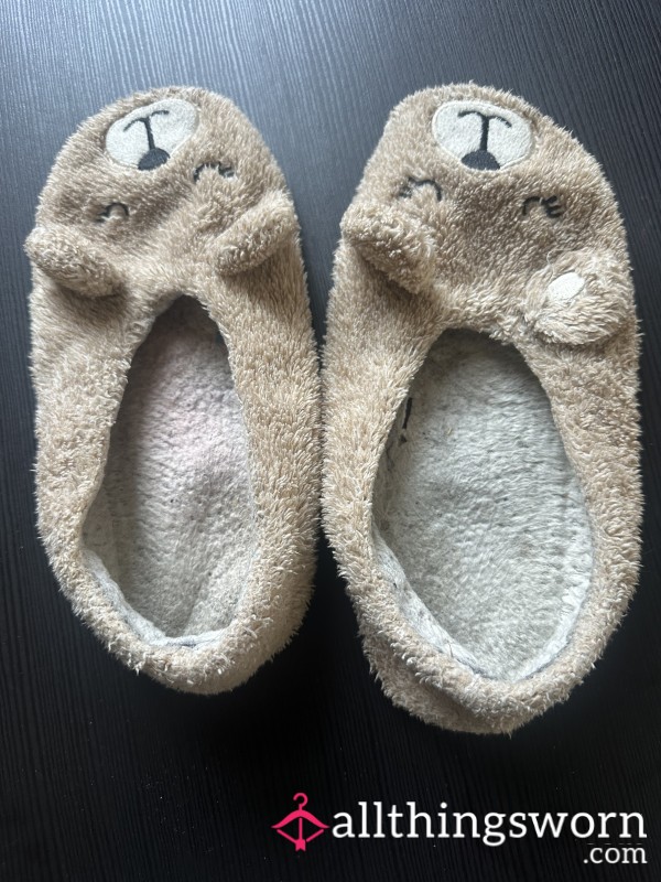 Extremely Worn Teddy Ballerina Slippers