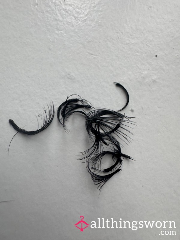 Eye Lashes
