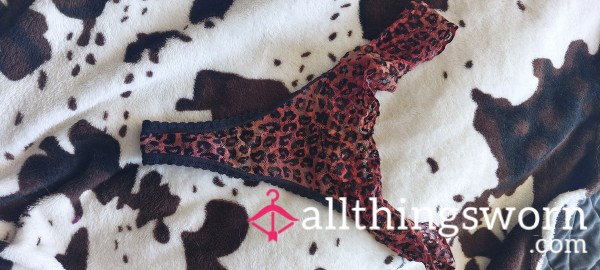 Eye Of The Tiger - Animal Print Thong