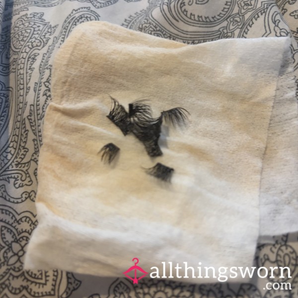 Eyelashes Worn For 2 Weeks Plenty Of Dead Skin On Them