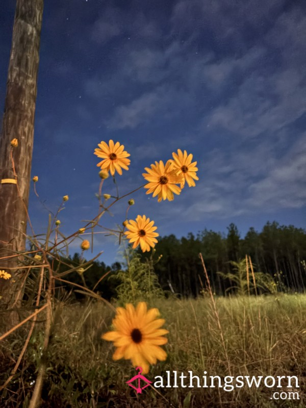 Faint Positive Pregnancy Test