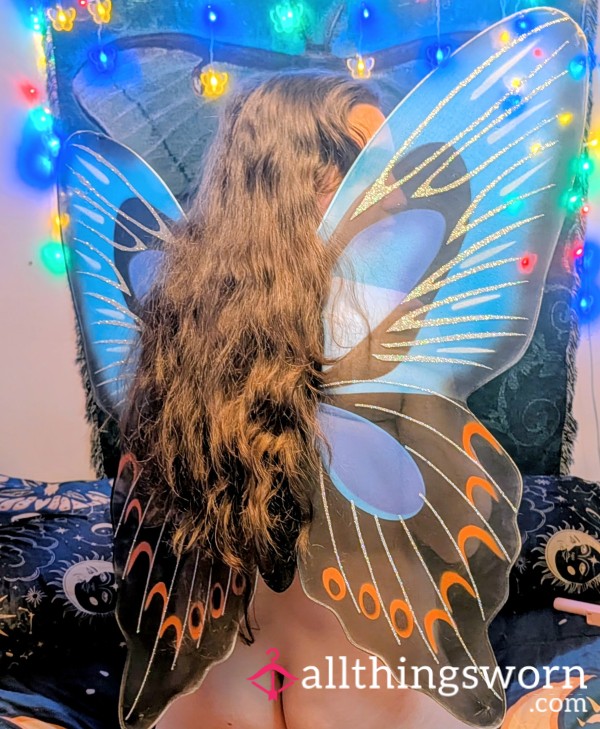 Fairy Wings