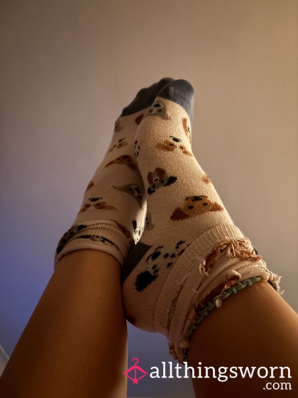 Fatface Branded Puppy Socks