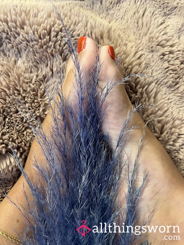 Feather Stroking My 🔥🦶