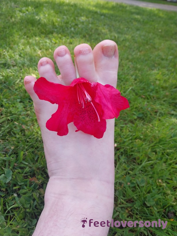 Feet And Flowers