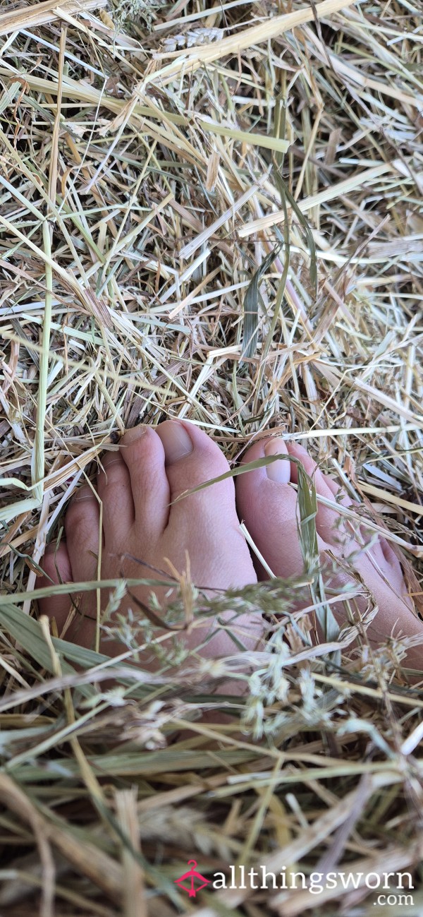 Feet In Hay 🥵
