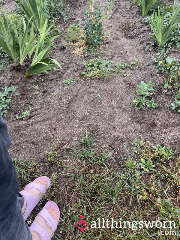 Feet In The Dirt