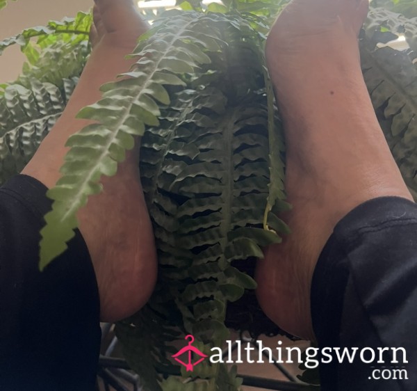 Feet Pics