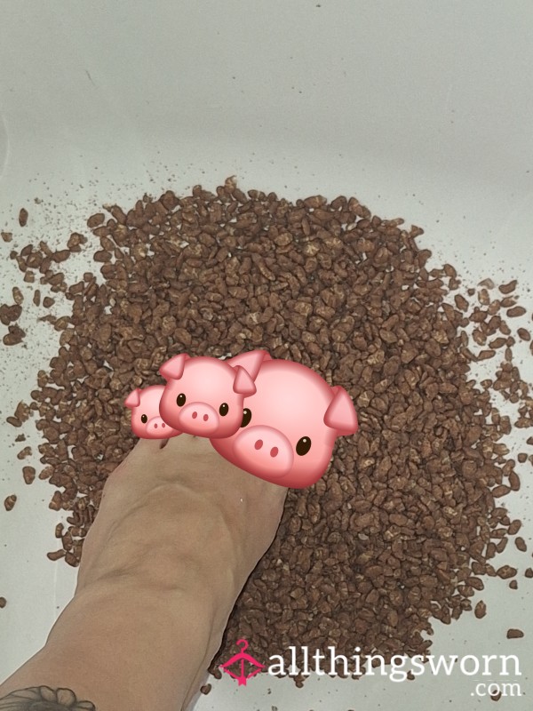👣Feet Vs Food🧁