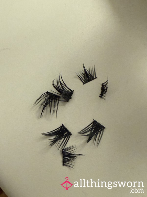 Festival Lashes