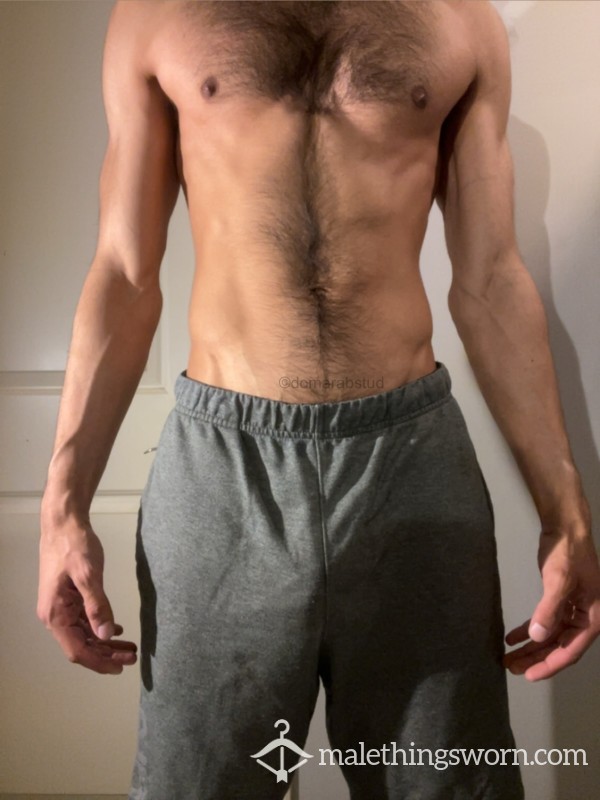 FILA Gray Sweat Shorts (Very Well Worn)