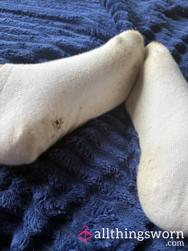 Filthy 24 Hour Socks🤢