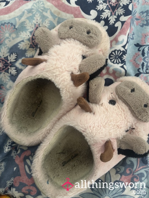 Filthy Cow Sleepers