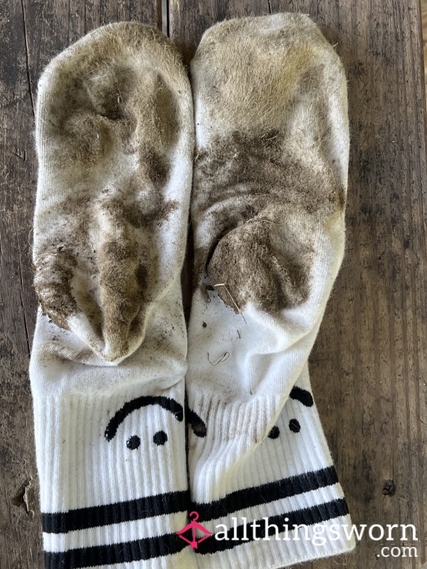 Filthy Dirty, Stinky Socks Comes With Seven Day Wear