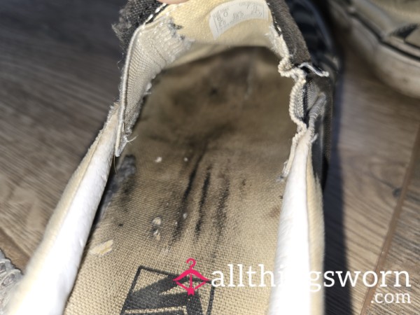 Filthy Disgusting Vans