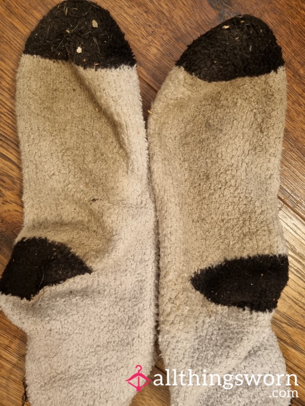 Filthy Fluffy Stable Socks