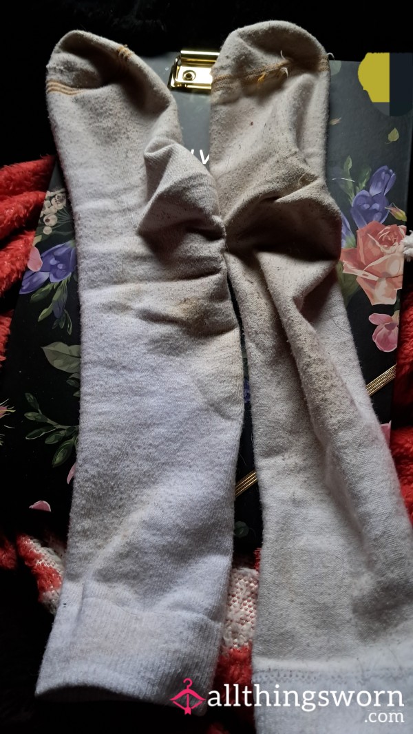Filthy, Long White "Gold Toe" Socks.  Already Worn Several Days!