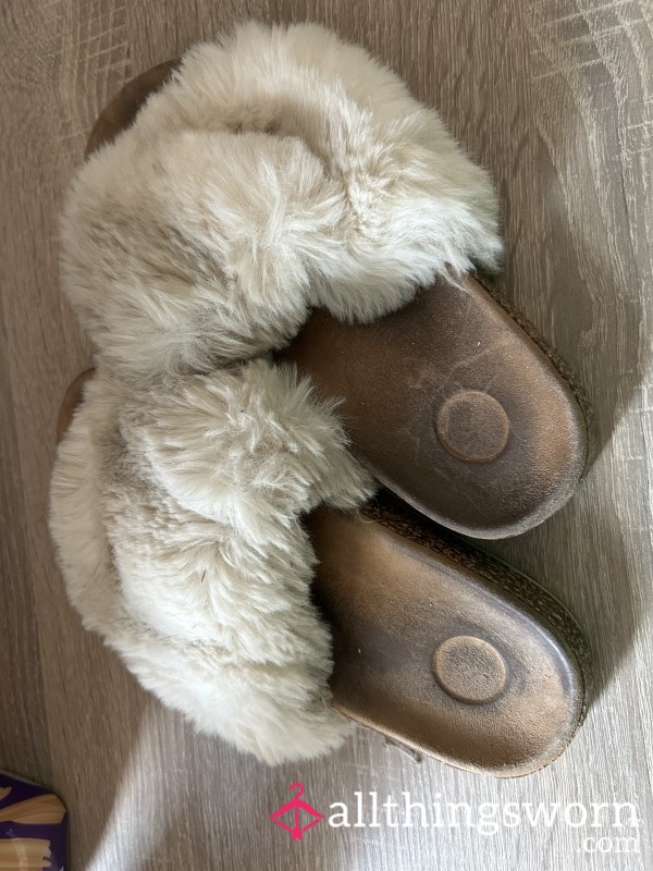 Filthy Old Slip Ons