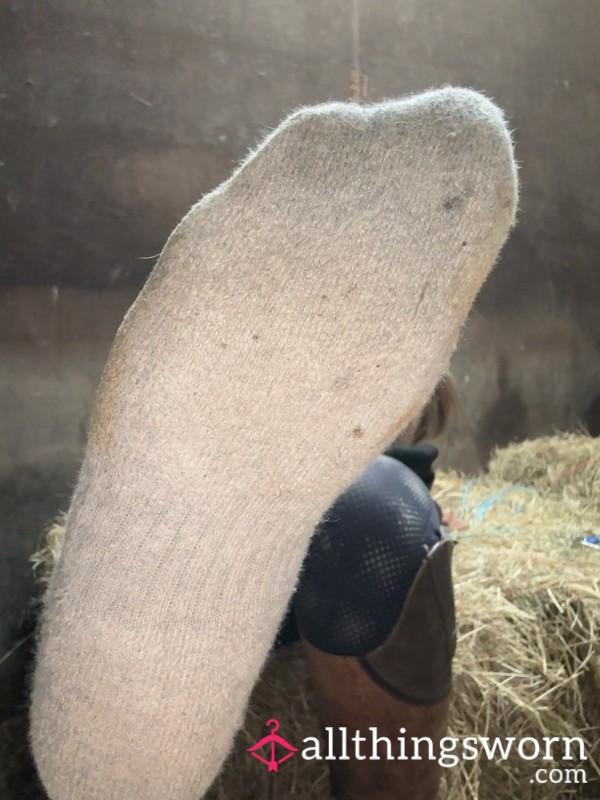 Filthy Riding Socks