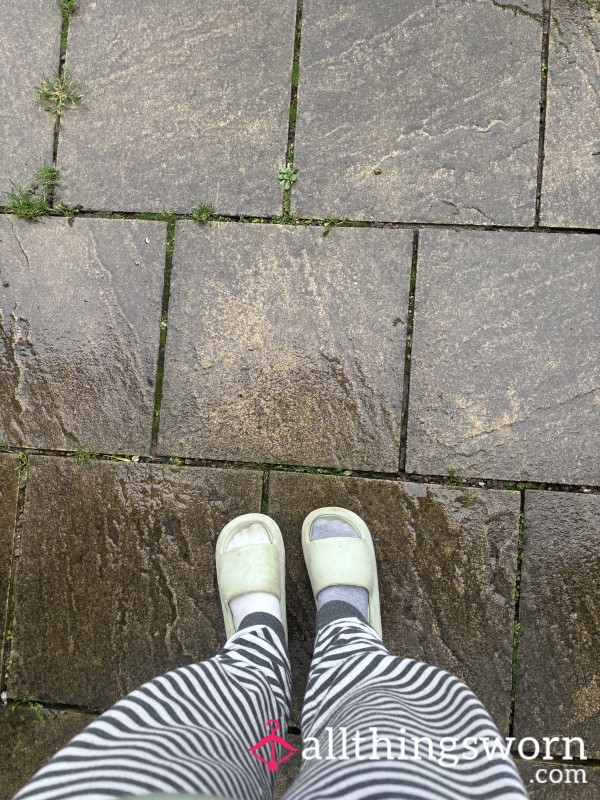 Filthy Sliders Walking In Rain